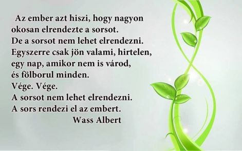 a_sorsot_nem_lehet_elrendezni.jpg a_sorsot_nem_lehet_elrendezni.jpg