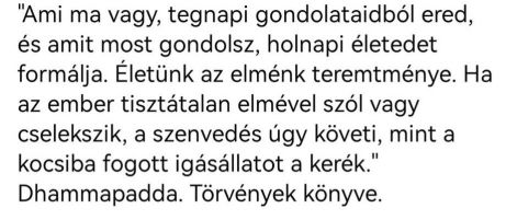 ami_ma_vagy_....jpg