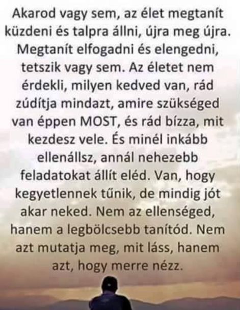az_elet_megtanit_....jpg az_elet_megtanit_....jpg