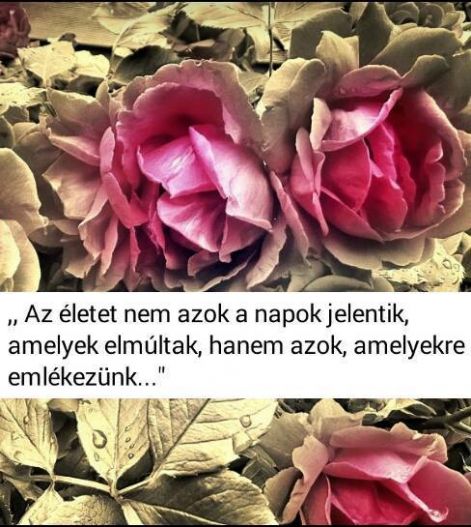 az_eletet_nem_azok_a_napok_jelentik_....jpg az_eletet_nem_azok_a_napok_jelentik_....jpg